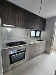 Riverfront Residences (D19), Apartment #430835911